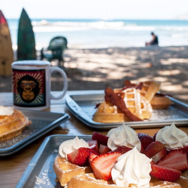 Waffle Monkey Waffle Cafe and Coffee Shop